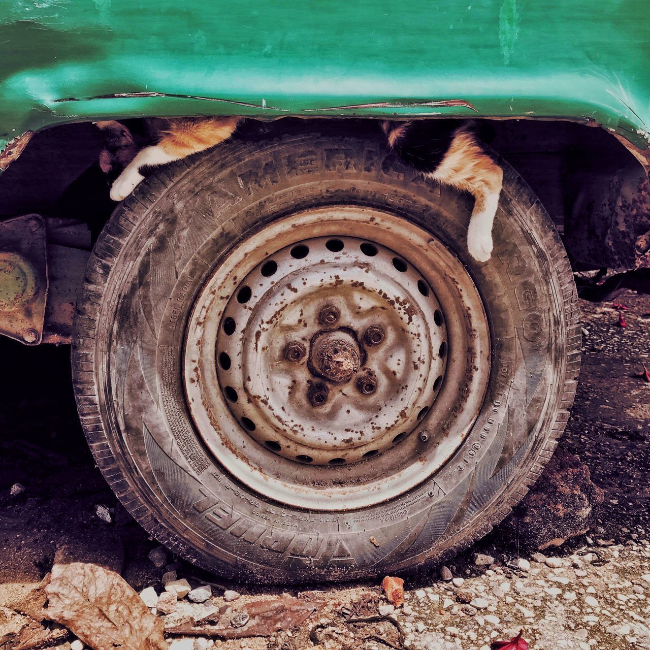 CLOSE-UP OF ABANDONED TIRE