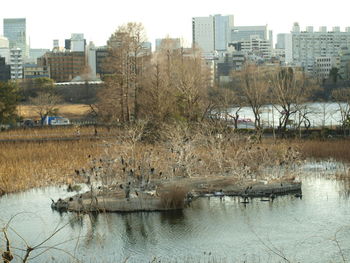 River by buildings in city against clear sky