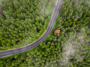 High angle view of road amidst trees in forest