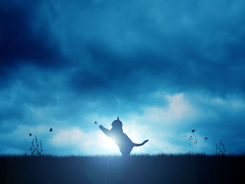 Silhouette cat on field against cloudy sky