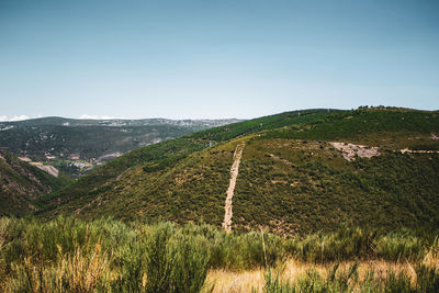 Small road crossing a mountain of pine trees with more mountains