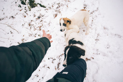 Low section of man with dog on snow