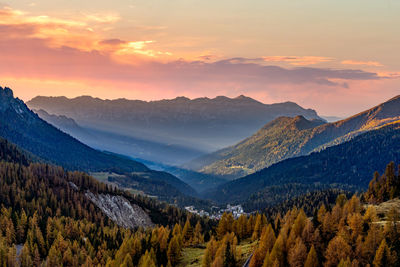 Golden hours ii passo rolle-dolomite italy