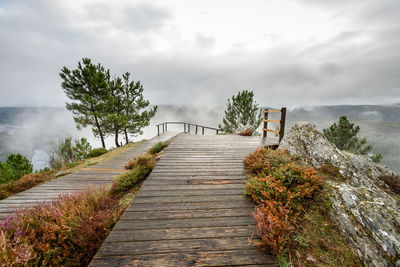 Wooden footbridge along plants and trees against sky