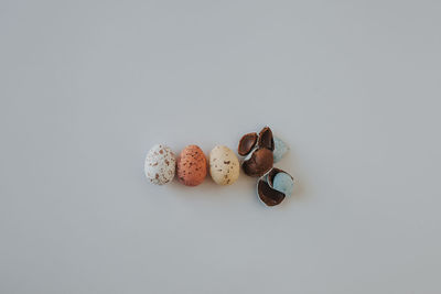 High angle view of cookies against white background