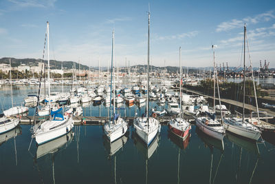 Sailboats moored at harbor