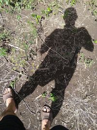 Low section of woman standing on plant