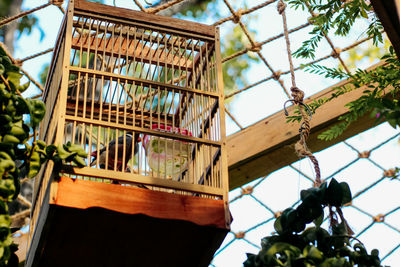 Low angle view of cage hanging from tree