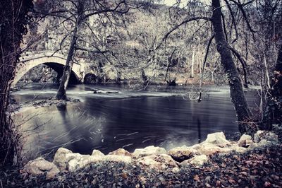 Scenic view of river amidst trees during winter