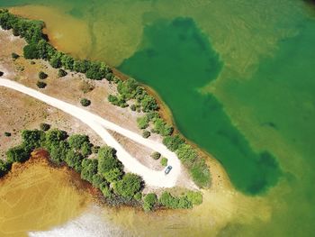 High angle view of tree by sea