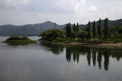 Scenic view of lake by trees against sky