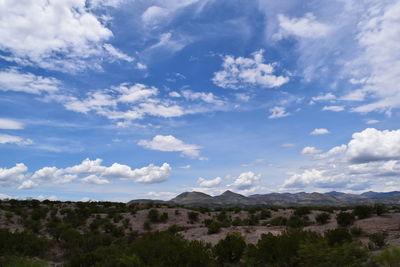 Scenic view of landscape against sky