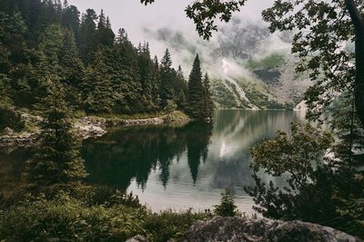 Scenic view of lake in forest against sky