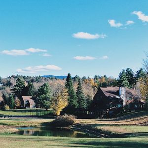 Trees on landscape against sky