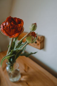 Red tulips