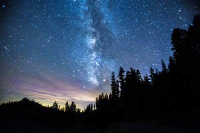 Silhouette trees on hill against milky way in starry sky at dusk