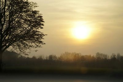 Scenic view of landscape at sunset