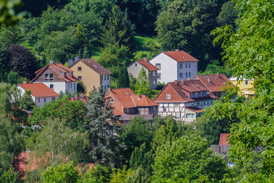 High angle view of trees and buildings in city