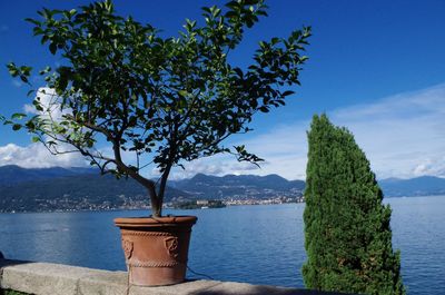 Scenic view of calm sea against sky