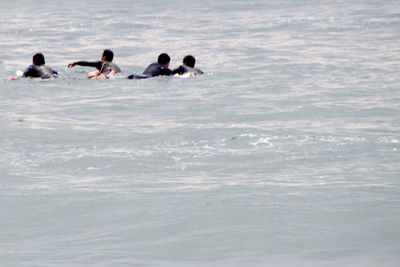 People swimming in sea during winter