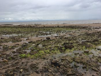 Scenic view of beach against sky