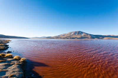 Scenic view of sea against clear blue sky