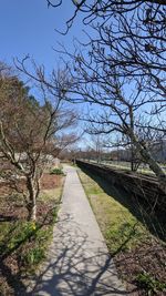 Footpath amidst bare trees against clear sky