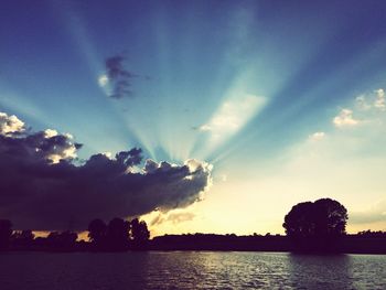 Silhouette of trees at sunset