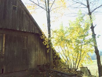 Built structure with trees in background