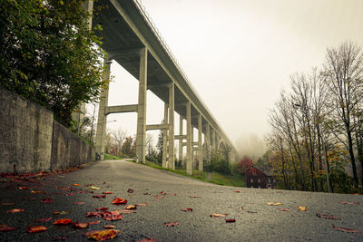 Road amidst plants against sky during autumn