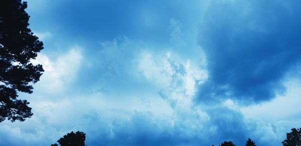 Low angle view of silhouette trees against blue sky