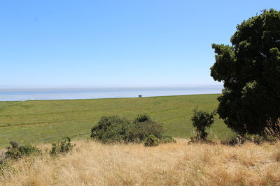 Scenic view of sea against clear sky