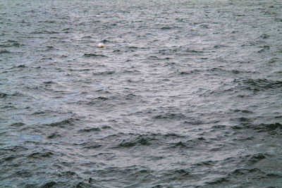 Full frame shot of swimming in sea