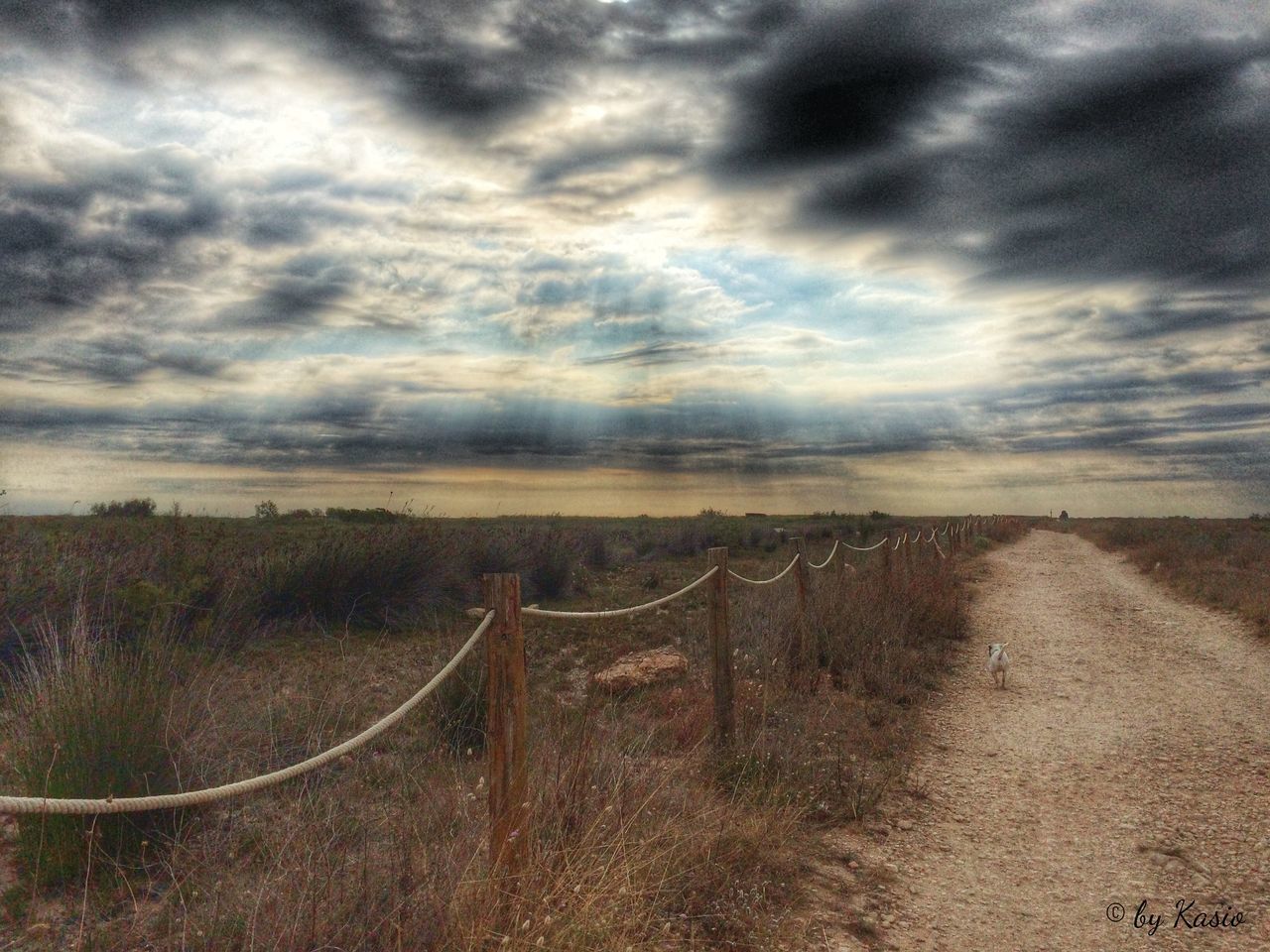 sky, the way forward, cloud - sky, cloudy, diminishing perspective, tranquil scene, tranquility, landscape, vanishing point, dirt road, cloud, road, nature, transportation, weather, scenics, beauty in nature, overcast, field, storm cloud