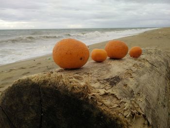 Eggs in sea against sky