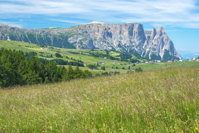 Scenic view of landscape against sky
