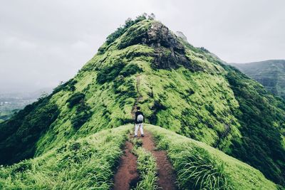 Scenic view of mountains