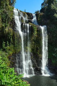 Scenic view of waterfall in forest