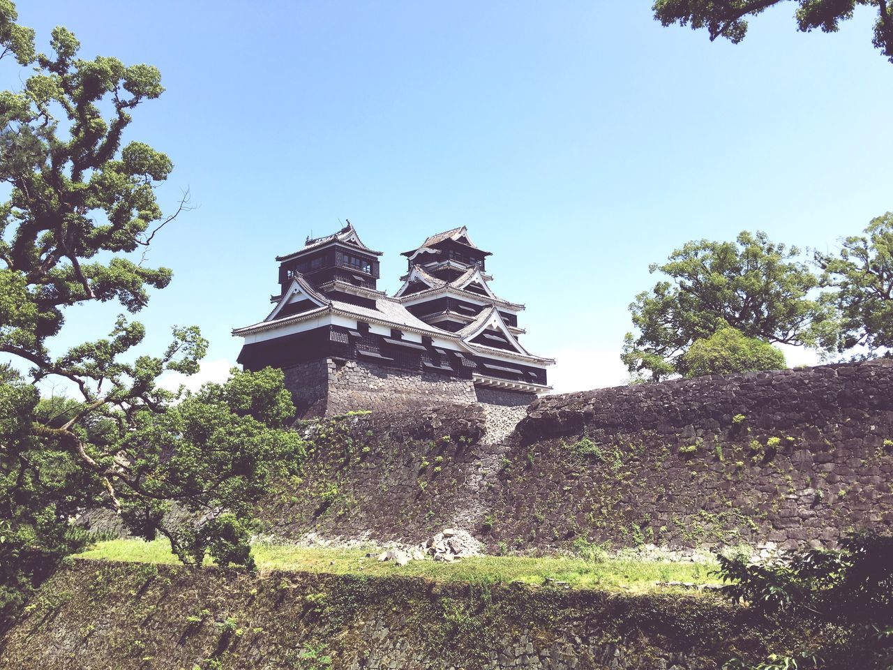 clear sky, built structure, architecture, building exterior, tree, religion, place of worship, low angle view, spirituality, church, copy space, history, old, blue, cross, day, growth, sunlight