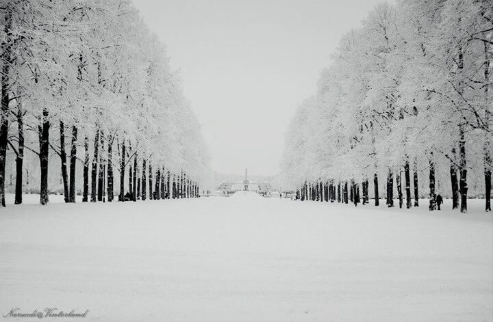 Vigelandsparken