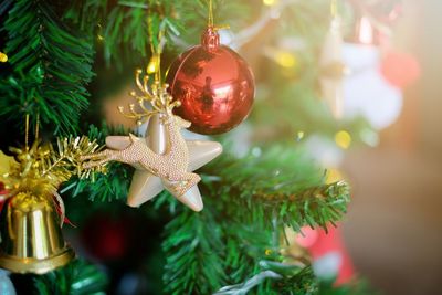 Close-up of christmas decoration hanging on tree