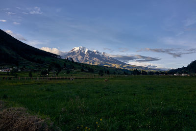 Scenic view of landscape against sky