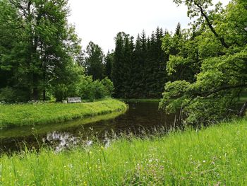 Scenic view of lake by trees against sky