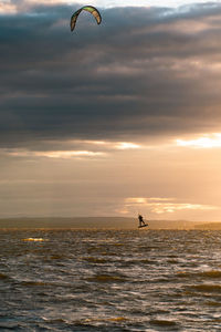 Silhouette bird flying over sea against sky during sunset