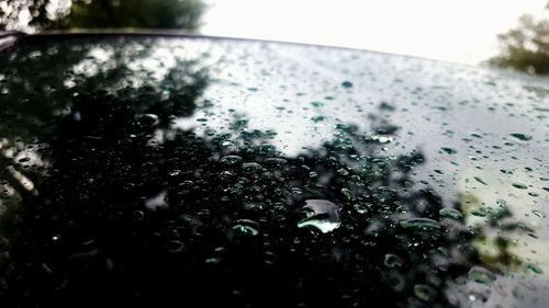 Close-up of waterdrops on glass