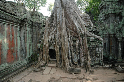 Old ruins of building