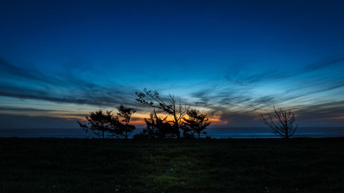 Silhouette trees on field against sky at sunset