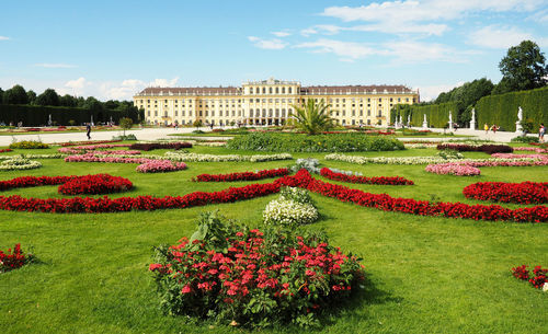 View of flowering plants in garden