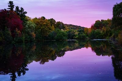 Reflection of trees in lake against sky