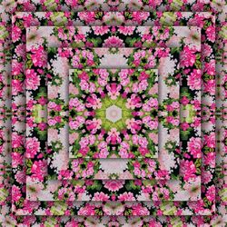 Pink flowers growing on plant